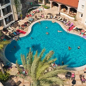 book here
